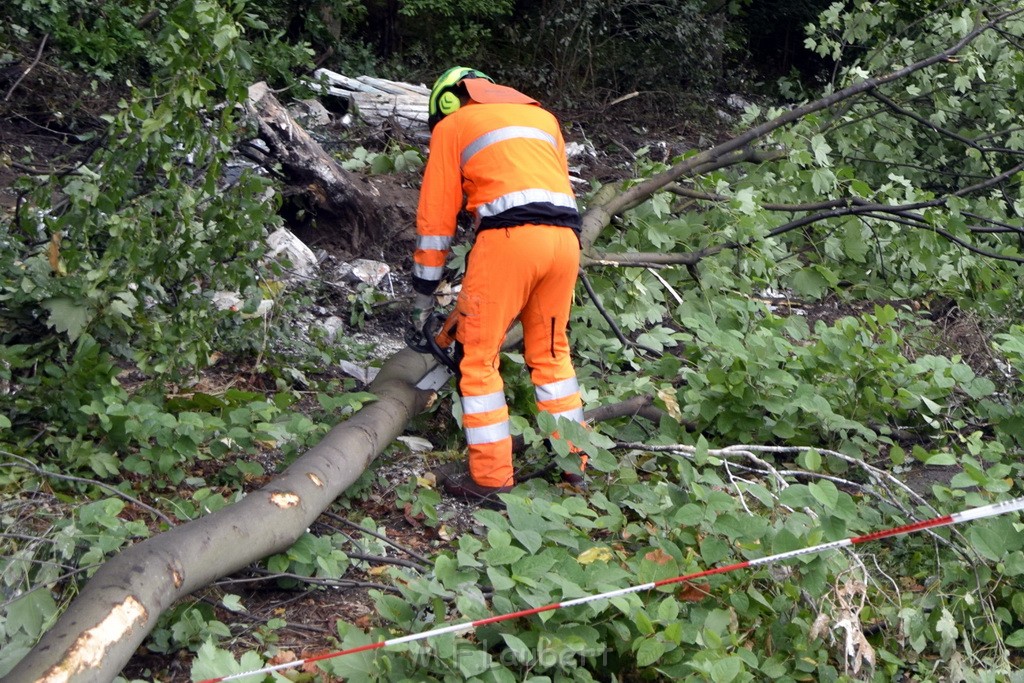 Schwerer VU A 3 Rich Oberhausen Hoehe AK Leverkusen P528.JPG - Miklos Laubert